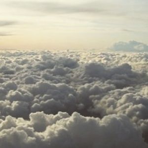 Meet your Posher, Felicia